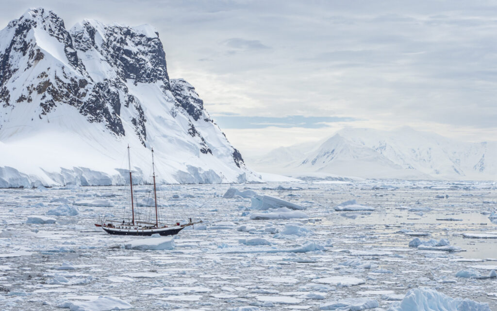 KRILL OR BE ‘QRILLED’: WHO GOVERNSTHE ANTARCTIC OCEAN?